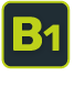 B1